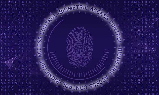 The Tipping Point: Biometric Authentication in Wearable Health Tech for Crisis Response